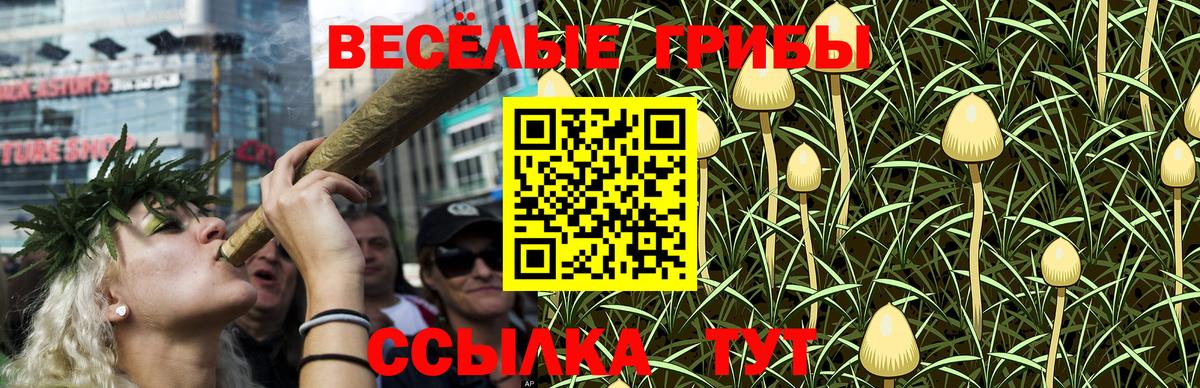 Химки  Псилоцибиновые грибы Psilocybe  Вход с VPN 